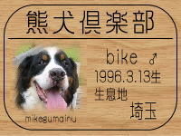 ��bikemama����̂a�k�n�f�ւf�n�I